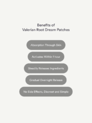 Dream Patches - Valerian Root - Image 5